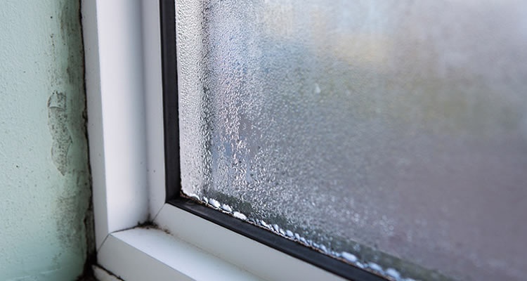 7 Tenant Tips to Avoid Problems in Winter!
