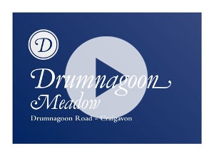 Drumnagoon Meadow June16