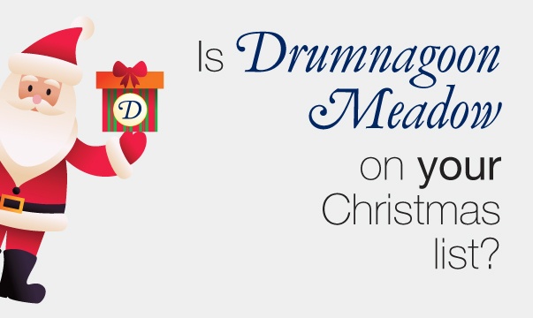 Drumnagoon Christmas List Christmas List