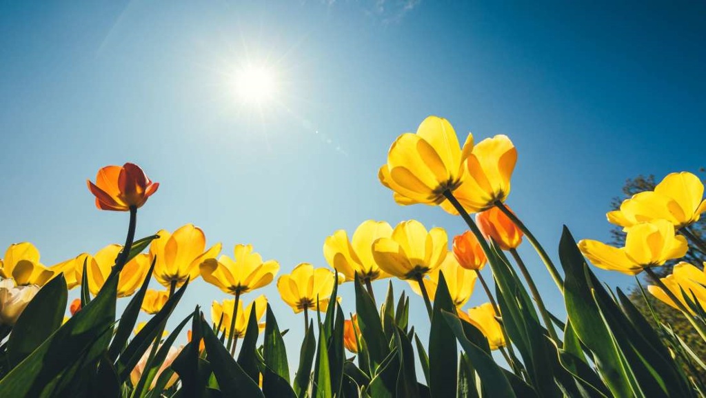 Tips for Selling in Spring