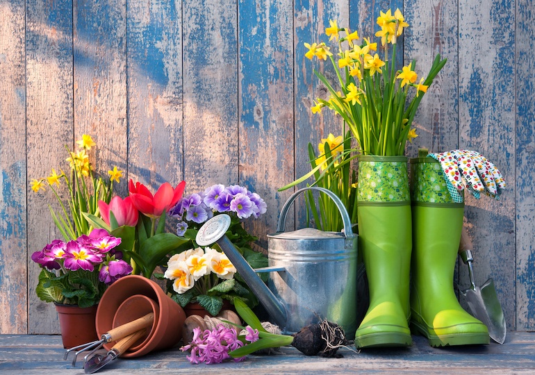 Preparing your Garden for Spring